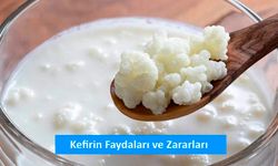 Kefirin Faydaları Ve Zararları: Kefir Neye İyi Gelir? Kefiri Kimler İçmemeli, Kimlere Dokunur?