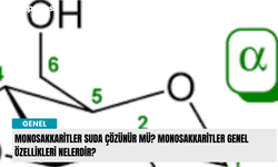 Monosakkaritler suda çözünür mü? Monosakkaritler genel özellikleri nelerdir?