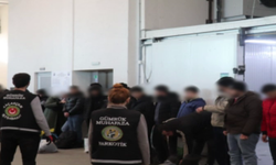 Yunanistan’a gitmeye çalışan 51 düzensiz göçmen yakalandı