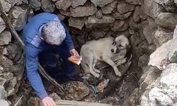 Kuyuya düşen köpeği vatandaş kurtardı