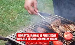 Ankara'da Mangal ve Piknik Keyfi: Mutlaka Görülmesi Gereken Yerler