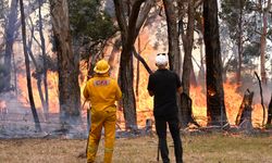 Avusturalya’da orman yangını! 16 bin hektarlık alan küle döndü