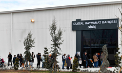 Dijital Hayvanat Bahçesi’ne Ankaralılardan yoğun ilgi: Eski çağlara yolculuk