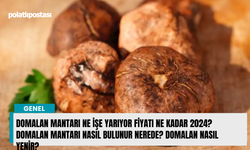 Domalan mantarı ne işe yarıyor fiyatı ne kadar 2024? Domalan mantarı nasıl bulunur nerede? Domalan nasıl yenir?