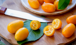 Sağlık için bir hazine: C vitamini deposu 'Kumkat'