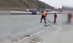 Ankara'da balık yüklü kamyon devrildi! Yollara kilolarca balık döküldü