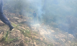 Ağaçları kesip yaktılar: 20 kişi gözaltına alındı!