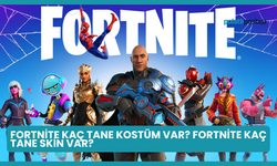 Fortnite Kaç Tane Kostüm Var? Fortnite Kaç Tane Skin Var?