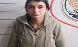 Sızma girişiminde bulunan PKK’lı kadın MİT tarafından yakalandı