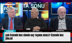 Şair Özdemir İnce kimdir kaç yaşında nereli? Özdemir İnce şiirleri