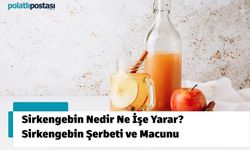 Sirkengebin Nedir Ne İşe Yarar? Sirkengebin Şerbeti ve Macunu ile Sağlığınızı Destekleyin