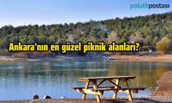 Ankara'nın en güzel piknik alanları? Ankara'da Mart ayında nerede piknik yapılır?