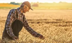 Bakanlık duyurdu! Çiftçiler müjde, destek ödemeleri hesaplara yatırılıyor