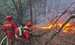 Çin'de çıkan orman yangının devam ediyor! Tahliye edilen kişi sayısı 3 binden fazla