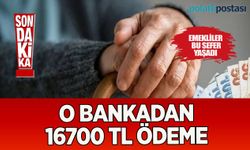 Emeklilere Müjde: Milyonlarca emekliye 16.700 TL Nakit Avans Fırsatı!