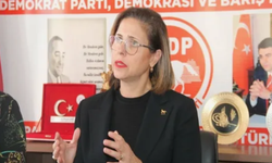 Demokrat Parti Genel Başkan Yardımcısı İlay Aksoy istifa etti!