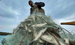Bakan Yumaklı açıkladı: 2023-2024 balıkçılık av sezonu 15 Nisan’da kapanıyor