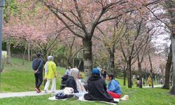Başkent’in parklarına vatandaşlardan yoğun ilgi