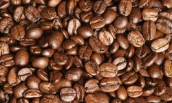 Dünyanın en popüler kahvesinin izi 600 bin yıl önceye dayanıyor
