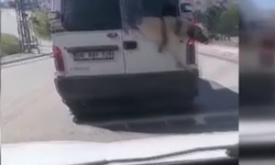 Ankara’da ilginç yolculuk: Minibüsün camından sarkan köpek görenleri şaşırttı