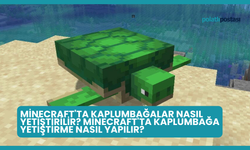 Minecraft'ta Kaplumbağalar Nasıl Yetiştirilir? Minecraft'ta Kaplumbağa Yetiştirme Nasıl Yapılır?