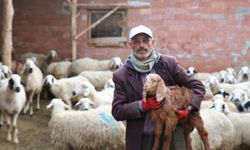 Seçimi kaybeden çoban, yazdığı şiirle ünlü olmuştu! TRT'nin Gönül Dağı'nda rol kaptı