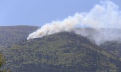 Uludağ'da yangın! Çok sayıda ekip alevlere müdahale ediyor