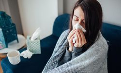 Uzmanlar bir sonraki pandemiye grip virüsünün yol açacağını düşünüyor