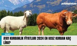 A101 Kurbanlık Fiyatları 2024 En Ucuz Kurban Kaç Lira?