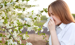 Bahar aylarında polen alerjisi ile nasıl başa çıkılır? İşte uzmanlardan öneriler