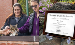 ABD’de kediye doktora diploması verildi