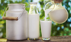 Laktozsuz sütün bilinmeyen faydalarını duyunca şaşıracaksınız! İşte laktozsuz sütün faydaları