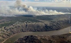 Orman yangını 10 bin hektarlık alana yayıldı