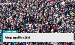 Polonya asgari ücret 2024