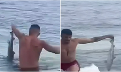Recep İvedik sahnesi gibi olay! Antalya’da denizde yüzen vatandaş elleriyle köpekbalığı çıkardı