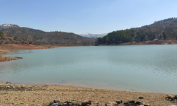 Ankara’da piknik alanında göle giren kişi boğularak hayatını kaybetti