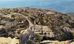 Çanakkale’nin Ayvacık ilçesinde çıkan yangında tarihi tapınak bölgesi de zarar gördü