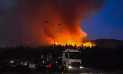 Yangınlar alarm veriyor: Bilinçsizce atılan çöp bile tehlike!