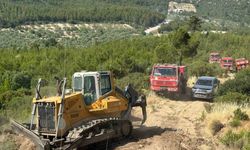 Bergama’daki orman yangınına havadan ve karadan yoğun müdahale