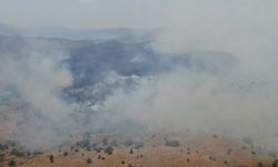 Elazığ’da ormanlık alanda yangın çıktı! Ekiplerin yangına müdahalesi aralıksız devam ediyor