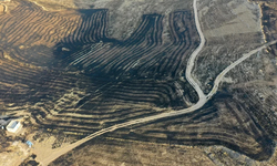 Mardin ve Diyarbakır'daki yangınların sebebi belli oldu!