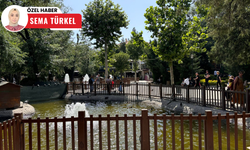 Sıcaklardan kaçış noktası: 'Kuğulu Park'