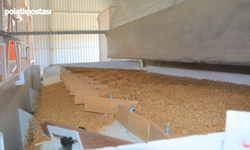 Akyurt Belediyesi Tohum Eleme Tesisi Çiftçilere Zaman Kazandırıyor