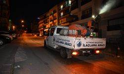 Altındağ’da sineklere son