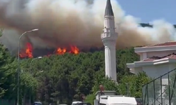 Aydos ormanında yangın: Alevler yerleşim yerlerine doğru ilerliyor