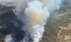 İzmir Ödemiş'te ormanlık alanda yangın çıktı