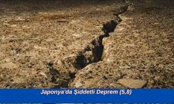 Japonya'da Şiddetli Deprem (5,8)