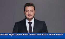 Mustafa Yiğit Zeren kimdir serveti ne kadar? Aslen nereli?