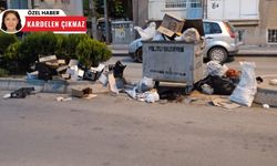 Polatlı'da çöp sorunu: Aşırı sinek ve sivrisinek oluşumu alarm veriyor