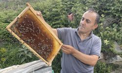 Türkiye’de üretilen dünyaca ünlü o balın fiyatı dudak uçuklattı!